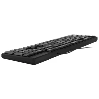 Клавиатура Oklick 100 M Standard Keyboard фото 8
